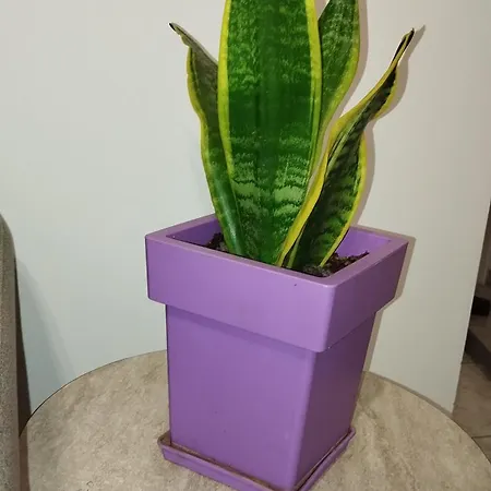 شقة Nauplie Apartments