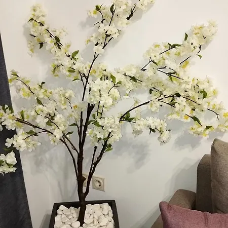 Apartment Nauplie Apartments