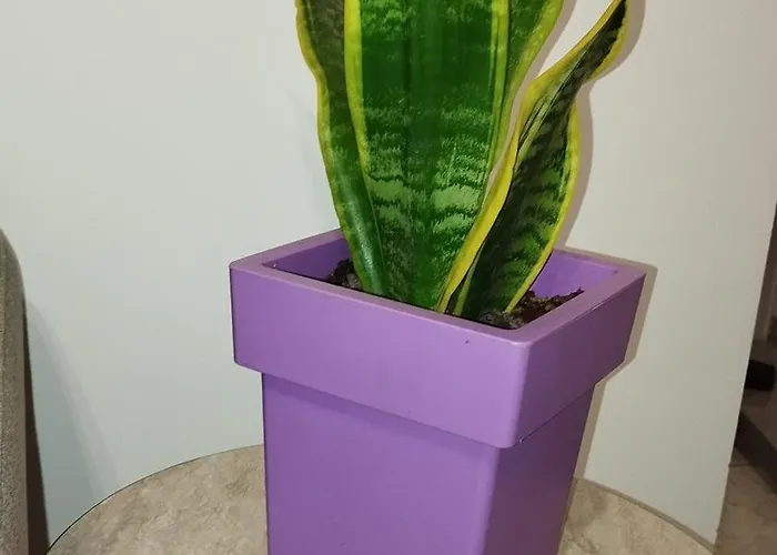 Apartamento Nauplie Apartments